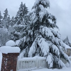 O Holy Night - Val Gonzalo