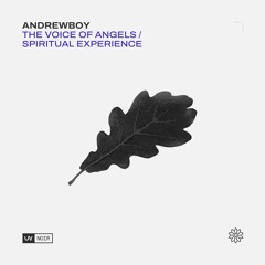 Andrewboy - The Voice of Angels (Nihil Young Remix) - UV Noir
