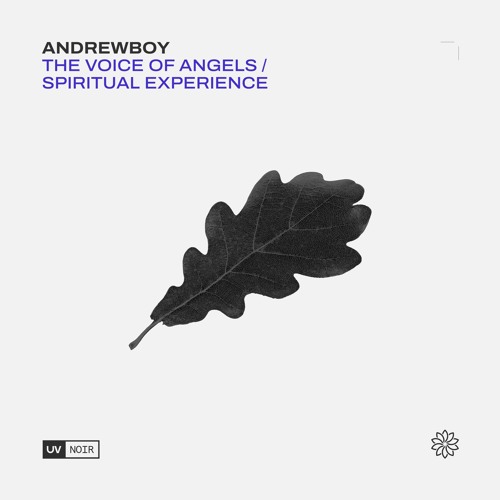 The Voice of Angels (Original Mix)