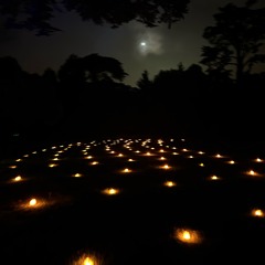 All the love_prodcabernett