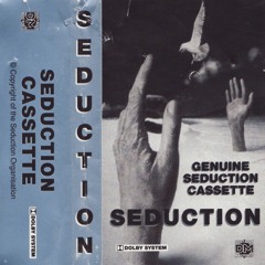Slipmatt - Seduction Volume 6 - June 1994