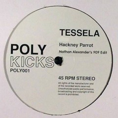 Tessela - Hackney Parrot (Nathan Alexanders 909 Edit)