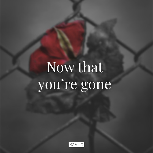 Now that you're gone