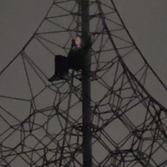 '