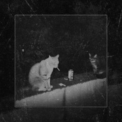 Voudha | Merciless sessions #19