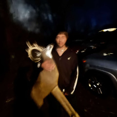 anything_but_calc.mp3