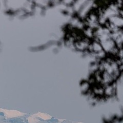 Griztronics x Fuccapop [MASHUP EDIT]