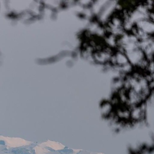 Griztronics x Fuccapop [MASHUP EDIT]