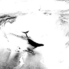 chaseyourdream.wav