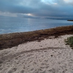 Streg i sandet - Det trækker op - Spøgelsesskibet