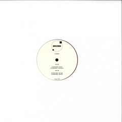 A2 Rinaldo Makaj - Locked Groove (druzhba010)