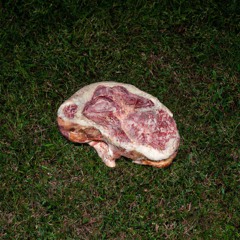 The Meat Suit Is My Enemy