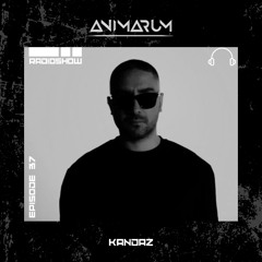 Animarum Radio Show No. 37