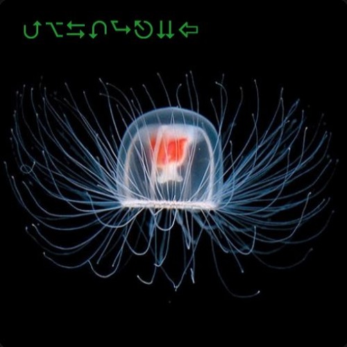 Underneath The Ice (Mudlark^feat Skunk Anansie ) free download !!