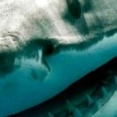 SOLIDNEVERFOLD JAW$ x IT$LE x A3x prod. beats by con