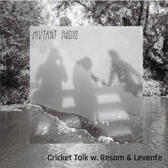 Cricket Talk w. Resom & Levente [22.05.2024]