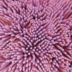 POPULAR [PROD. SXARRO]