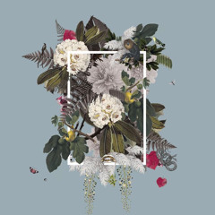 binhi- arthur nery cover