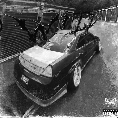 Wild (Super Slowed Version)