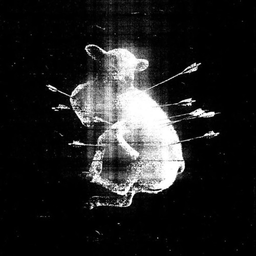 NEW LIFE|P.FLOYDIE|+TRANSCEND SNIPPET|