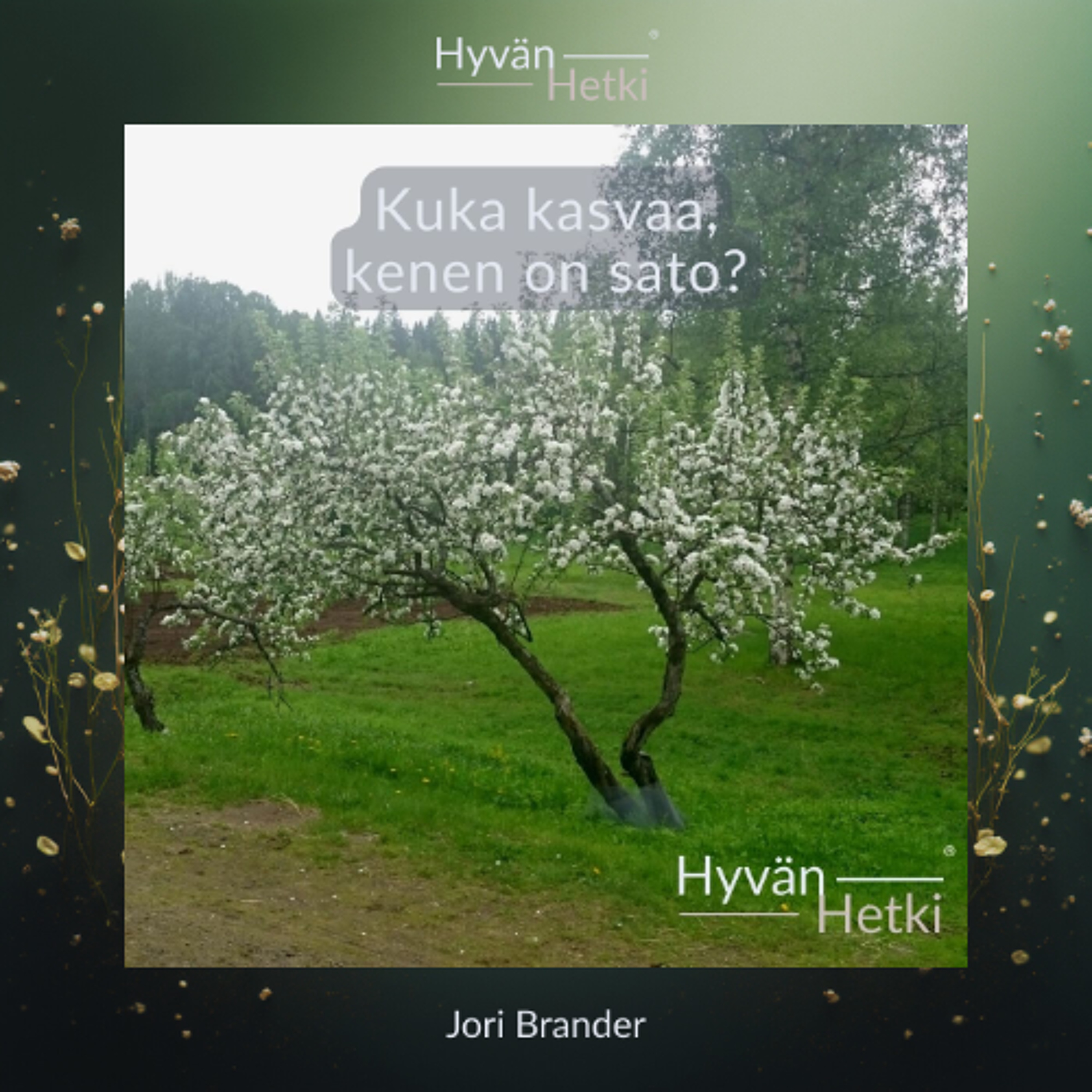 Kuka kasvaa, kenen on sato? (28.02.2026) episode artwork