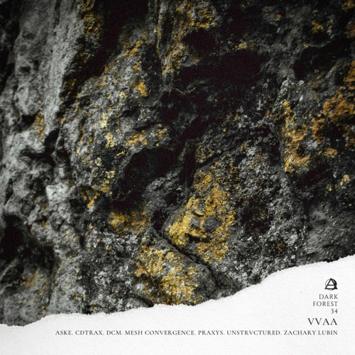 AN PREMIERE 027 | Aske - Elysium. [Dark Forest]