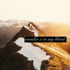 wonder x in my blood