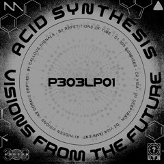 [P303LP01] - Acid Synthesis - Visions from the Future LP