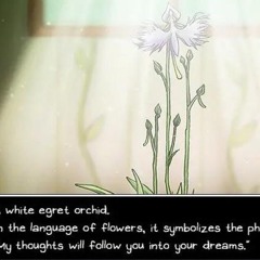 end of 25 clips ft happytrench chinapoet angelrave