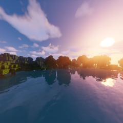 Disk 20