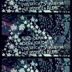 Rosa Rugosa [SCHROTT!]