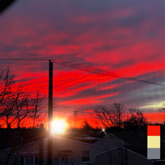 Caged Solitude Like An Animal.