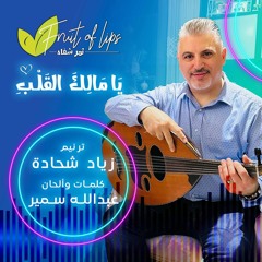 ترنيمة يا مالك القلب - زياد شحادة  - ألبوم ولدت من جديد