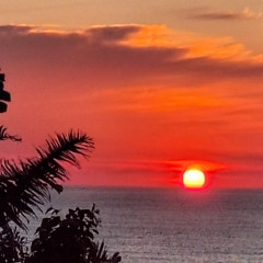 MAHALO Kahuna Level8 14Jun25