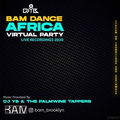 BAM (Brooklyn Academy Of Music) Dance Africa Party 2020 w/ (DJ YB, Yung L, Burna Boy, Tekno, Koffee)