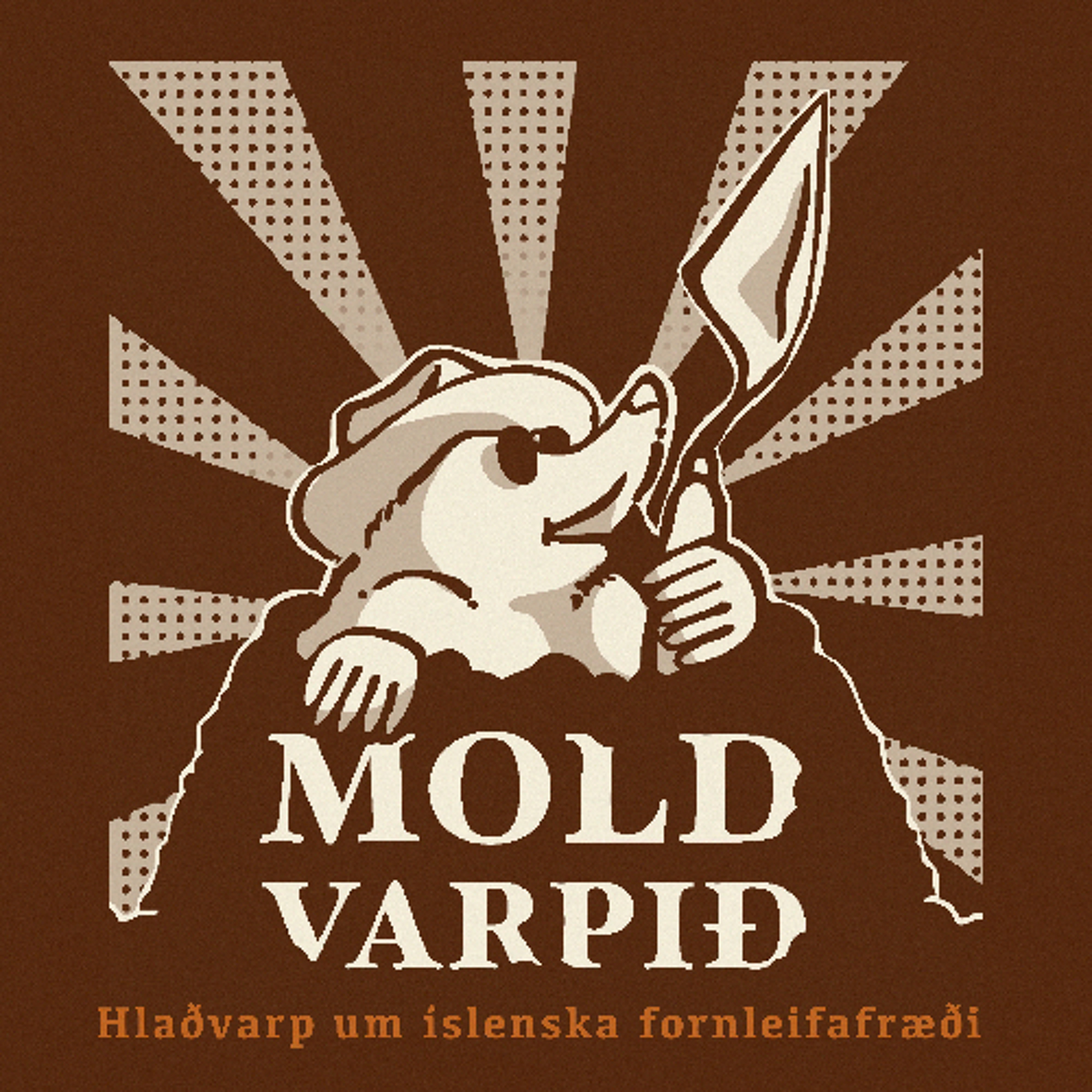 21. Lög og regla II