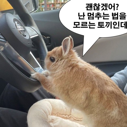 느금마김치찌개장인