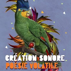 Poésie Volatile