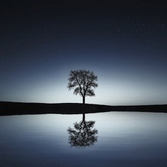 Simple Silent Single