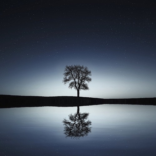 Simple Silent Single