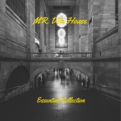 Mr.Vibe House