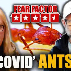 'Covid' Ants Coming To A Town Near YOU! | Sarah McGuire