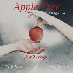 Apple Tree ft. GLP Rizô & YG Kane (prod. Young Taylor)