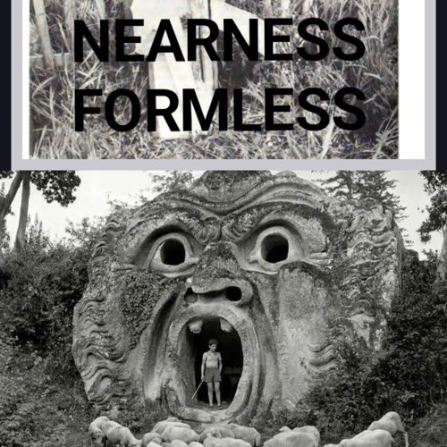 nearer forms - ON MIMICRY - 02 Mimic 2.mp3