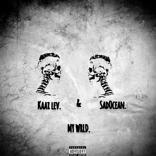 MY WRLD.W[KAAI LEV]