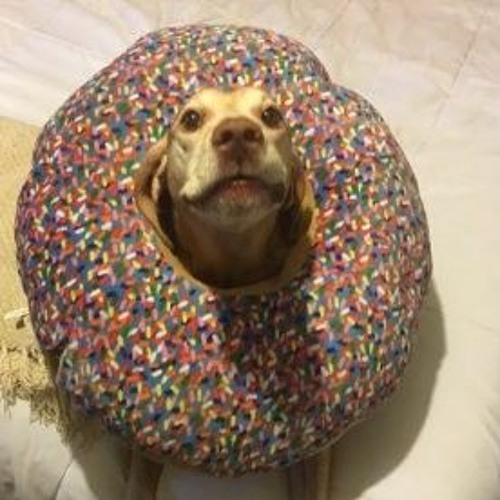 Some random introvert - Generic EDM song