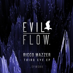 Ricco Mazzer - Synergy
