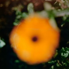 Loke Rahbek, Frederik Valentin and Croatian Amor - Beginners Mind