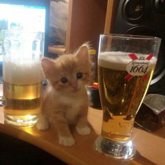 𝘽𝙞𝙧𝙩𝙝𝙙𝙖𝙮 𝙋𝙞𝙖𝙣𝙤 𝙏𝙝𝙚𝙢𝙚 𝙊𝙪𝙩 𝙤𝙛 𝙏𝙪𝙣𝙚