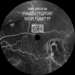 B1 GIANLUCA PELLERANO - ELECTRO RAPAX STATION